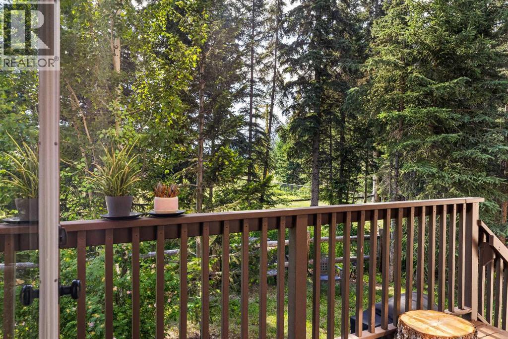 202, 108 Armstrong Place, Canmore, Alberta  T1W 3L2 - Photo 21 - A2330181