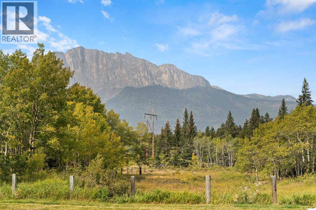 830230 Highway 1x, Rural Bighorn No. 8, Alberta  T0L 2C0 - Photo 8 - A2338831