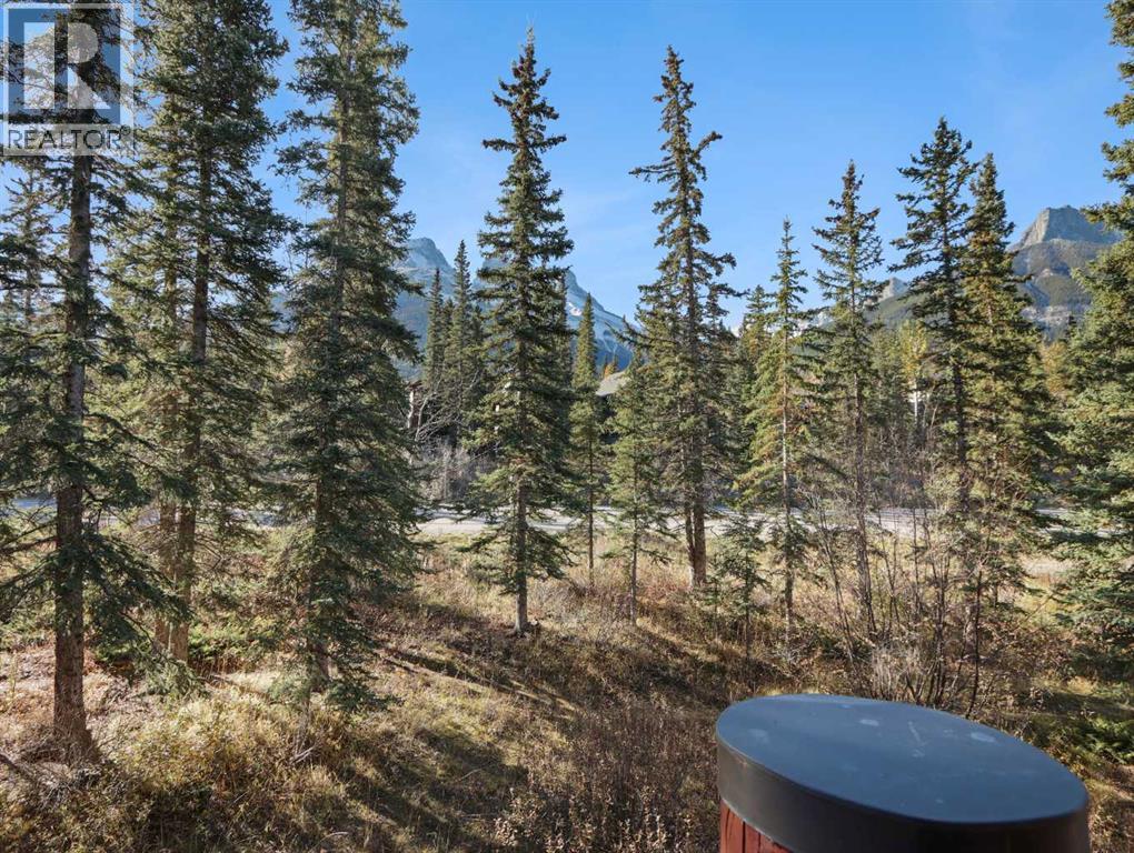 314, 150 Crossbow Place, Canmore, Alberta  T1W 3H5 - Photo 7 - A2352209