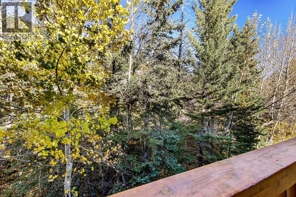 13, 36 Windridge Road, Exshaw, Alberta  T0L 2C0 - Photo 33 - A2352107